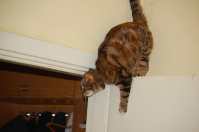 Прикрепленное изображение: 0736r.jpg